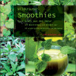 Go Green mit Wildkräuter Smoothies