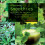Go Green mit Wildkräuter Smoothies