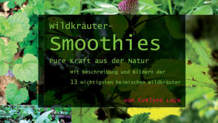 Fernöstliche Massagen Wildkräuter mooties
